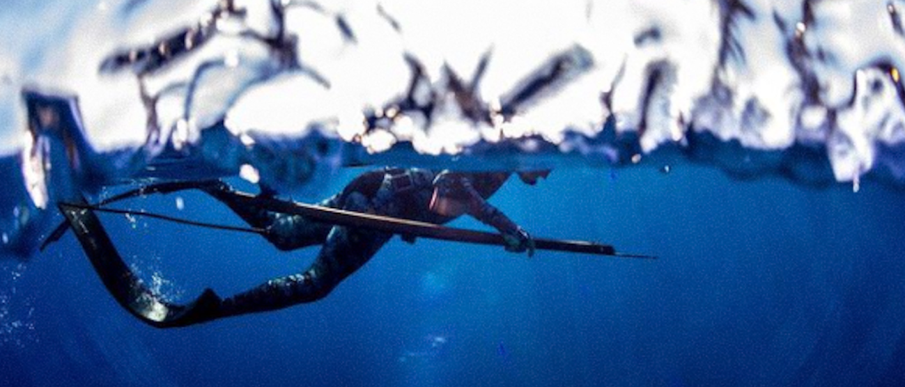 Arpones y Aletas JBL