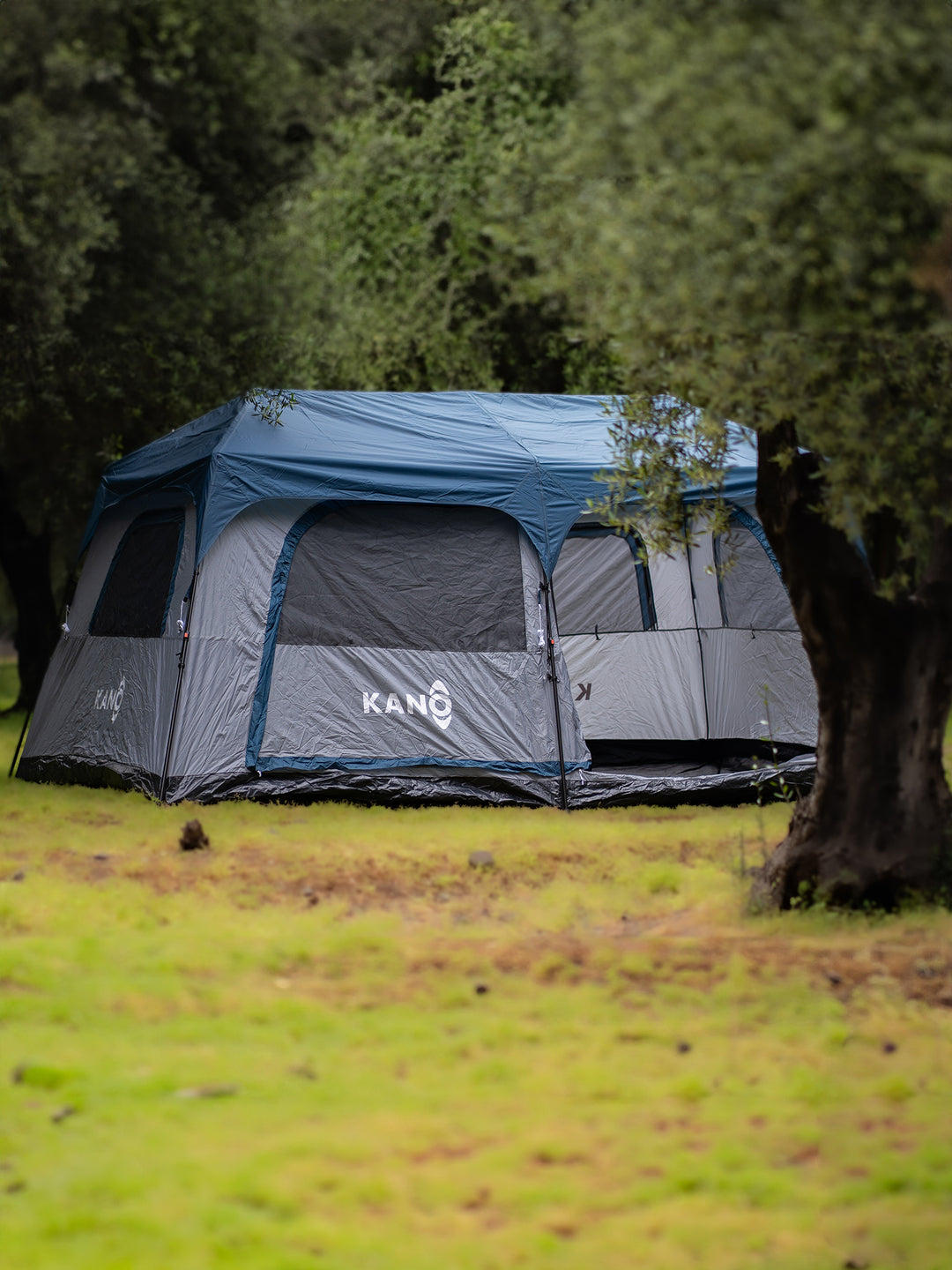 Cómo Mantener Tu Carpa de Camping en Buen Estado: Guía Completa