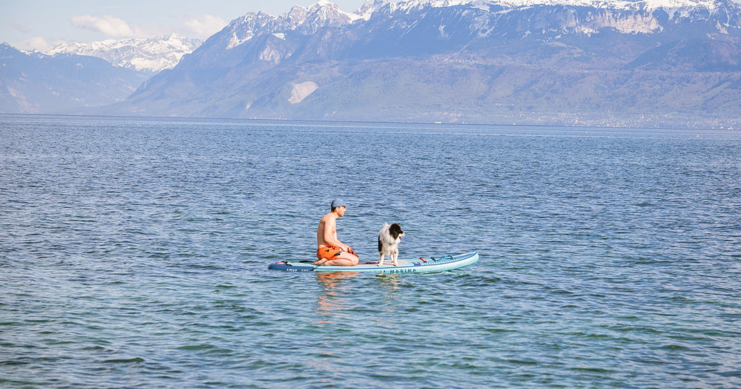 Persona con perro remando en tabla de sup en lago chileno.