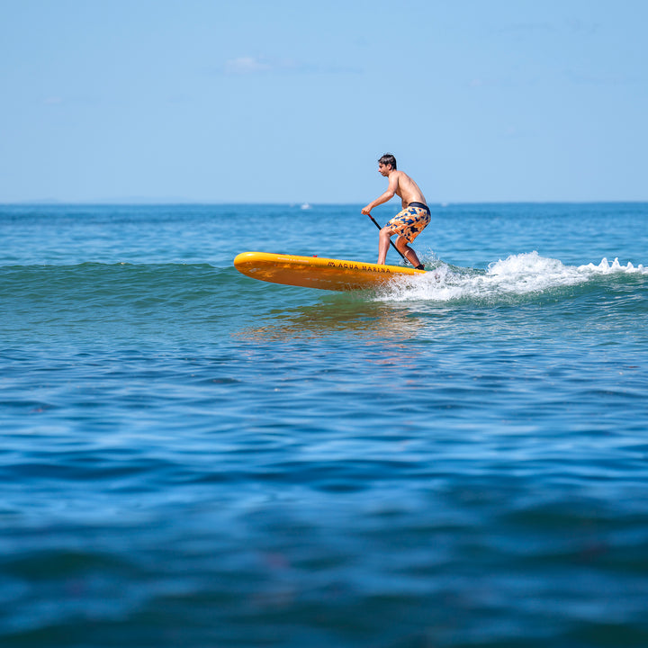 Stand Up Paddle SUP Fusion 10’10”