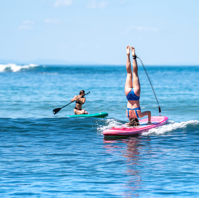 Stand Up Paddle SUP Coral 10'2″