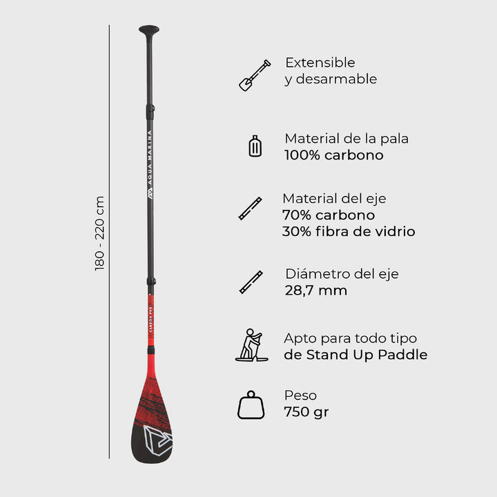 Remo SUP Stand Up Paddle Carbon PRO