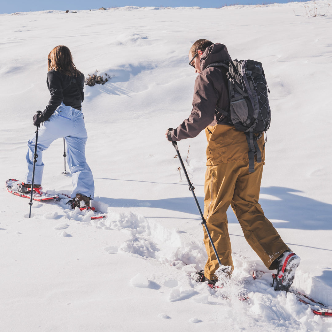 Raquetas de Nieve Puyehue