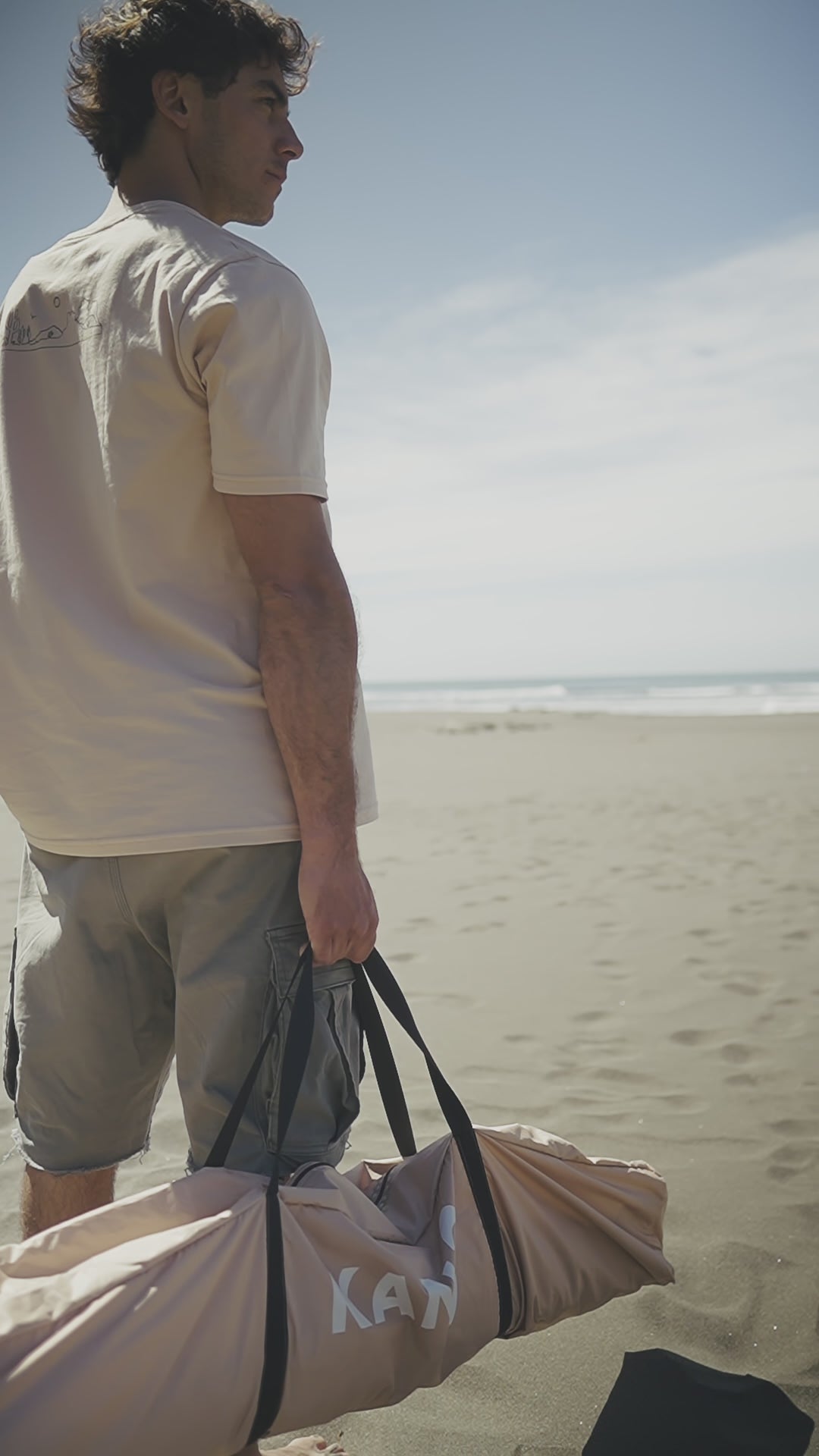 Toldo Plegable Automático 250 x 250