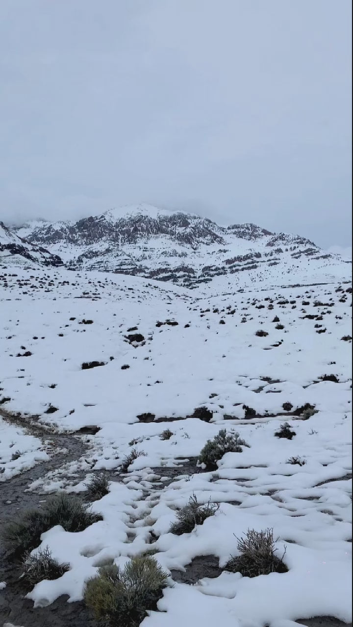 Guantes de Nieve Tronador PRO
